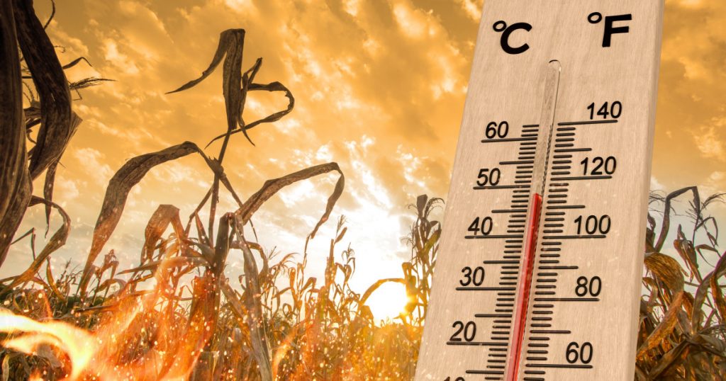 Impactul intensificării fenomenului El Nino în Pacific: Avertizări și implicații globale