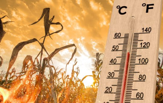 Impactul intensificării fenomenului El Nino în Pacific: Avertizări și implicații globale