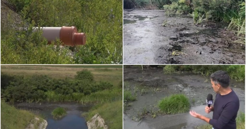 Poluarea apei în vestul României: Impactul unei firme de apă-canal asupra mediului și comunității