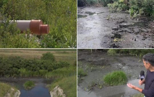 Poluarea apei în vestul României: Impactul unei firme de apă-canal asupra mediului și comunității