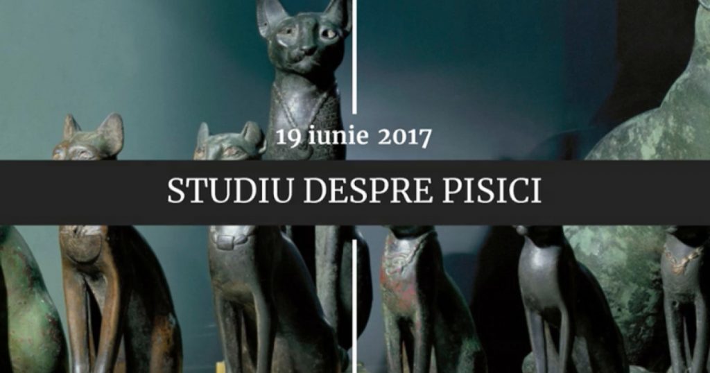 19 Iunie: O Zi Plină de Evenimente Cu Impact Istoric și Contemporan