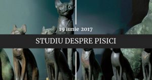 19 Iunie: O Zi Plină de Evenimente Cu Impact Istoric și Contemporan