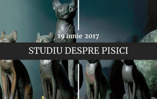 19 Iunie: O Zi Plină de Evenimente Cu Impact Istoric și Contemporan
