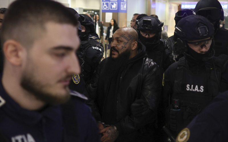 Dani Mocanu și luptătorul „Neveu”: O privire detaliată asupra audierilor și implicațiilor legale privind animalele sălbatice