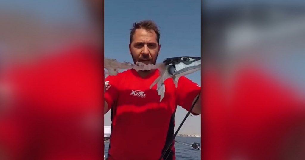 Pericolele marine în Grecia: Ce trebuie să știe turiștii despre peștele toxic care amenință plajele