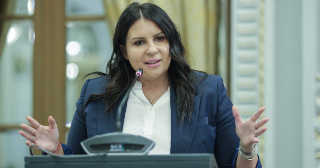 Gabriela Horga: O nouă etapă în cariera politică a unui lider PNL