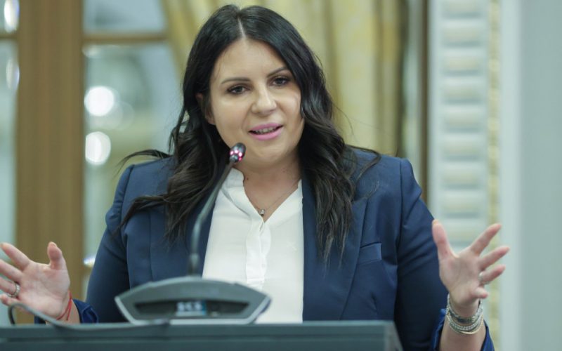 Gabriela Horga: O nouă etapă în cariera politică a unui lider PNL