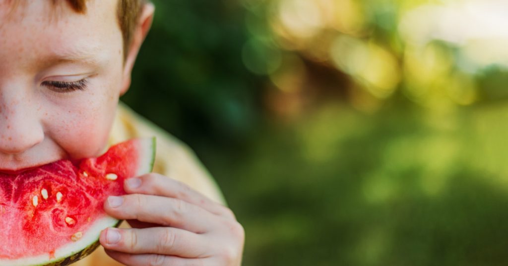Inovația în Cultivarea Pepenilor: O Privire Detaliată asupra Noilor Soiuri din Dăbuleni