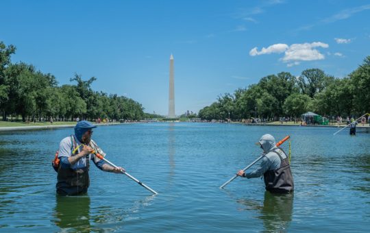 Controversa Bazinului Reflectorizant de la Memorialul Lincoln: De la Renovare la Vandalism