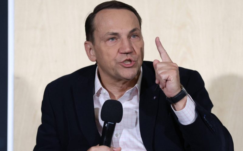 Polonia își revendică un rol esențial în negocierile de pace pentru Ucraina, în timp ce Germania propune o coordonare strategică
