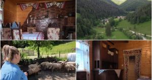 Vacanță la țară: Oportunități și provocări pentru gospodăriile rurale din România