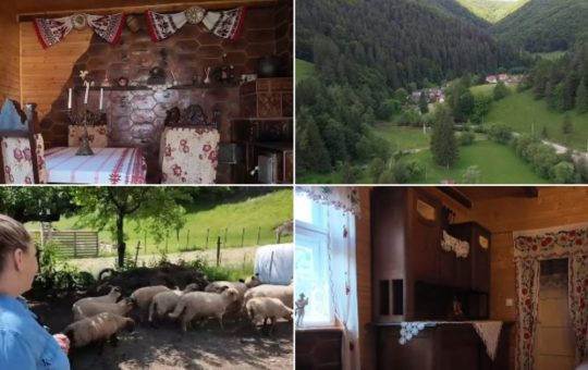 Vacanță la țară: Oportunități și provocări pentru gospodăriile rurale din România