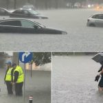Vremea extremă în România: Impactul inundațiilor și provocările infrastructurii