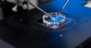 Fertilizarea in vitro: O soluție vitală pentru româncele care doresc să devină mame în fața provocărilor demografice