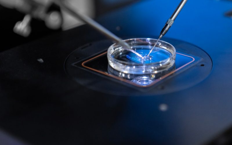 Fertilizarea in vitro: O soluție vitală pentru româncele care doresc să devină mame în fața provocărilor demografice