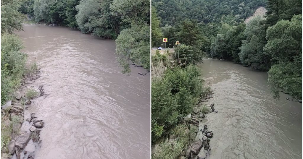Impactul poluării masive pe râul Jiu: O criză ecologică generată de Termocentrala Paroșeni