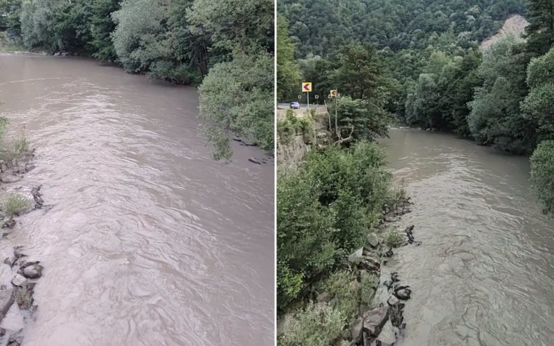 Impactul poluării masive pe râul Jiu: O criză ecologică generată de Termocentrala Paroșeni