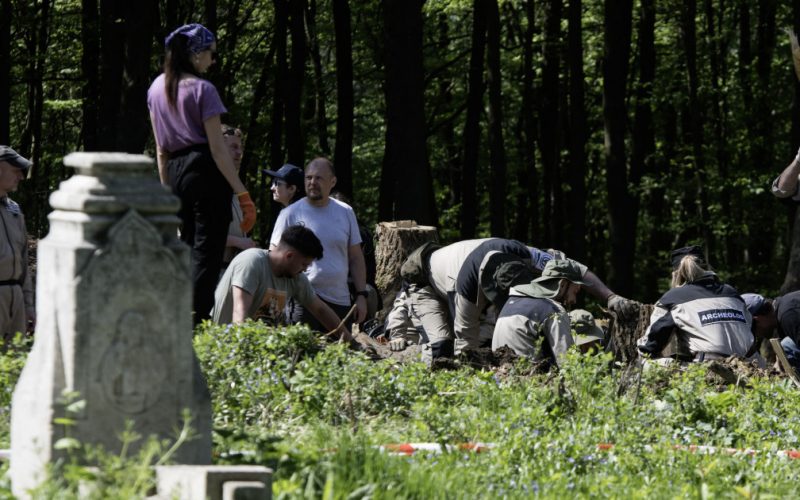 Tensiunile istorice dintre Polonia și Ucraina: O analiză a moștenirii Armatei lui Bandera