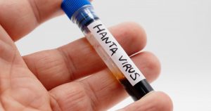 Descoperirea unei noi variante de hantavirus în Argentina: Implicații și contextul epidemiologic