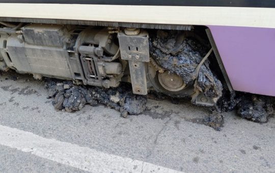 Canicula Extreme și Impactul Asupra Transportului Public din Timișoara: O Analiză Detaliată