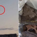 Descoperirea unei drone rusești în Tulcea: Implicații și contextul geopolitic actual