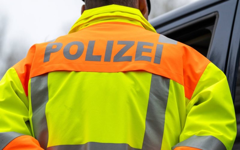 Un tânăr român arestat în Germania: Tentativa de instaurare a unui regim național-socialist și implicațiile sale asupra societății românești