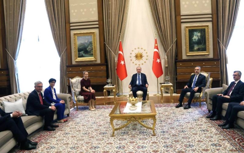 Kaja Kallas și Recep Erdogan: O întâlnire crucială înainte de summitul NATO