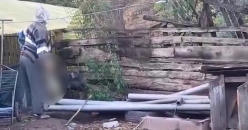 Crima împotriva animalelor: Contextul și implicațiile unui caz șocant din Alba
