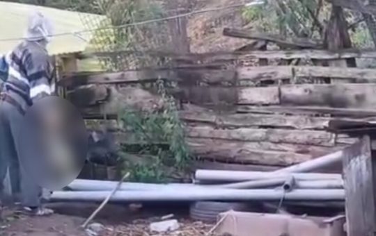 Crima împotriva animalelor: Contextul și implicațiile unui caz șocant din Alba