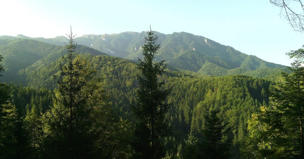 România și provocările rețelei Natura 2000: Auditul Curții Europene de Conturi și implicațiile pentru conservarea biodiversității