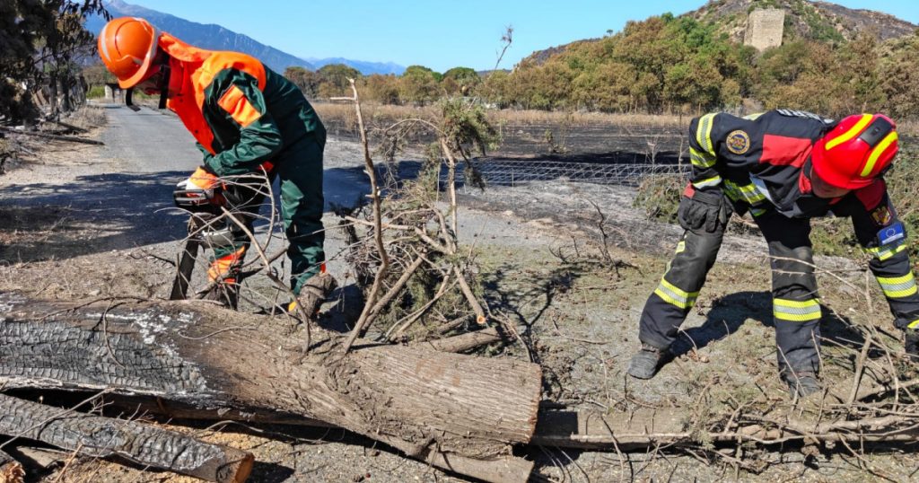 Pompierii români în lupta împotriva incendiilor din Franța: O colaborare esențială în fața unei crize ecologice