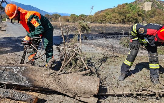 Pompierii români în lupta împotriva incendiilor din Franța: O colaborare esențială în fața unei crize ecologice