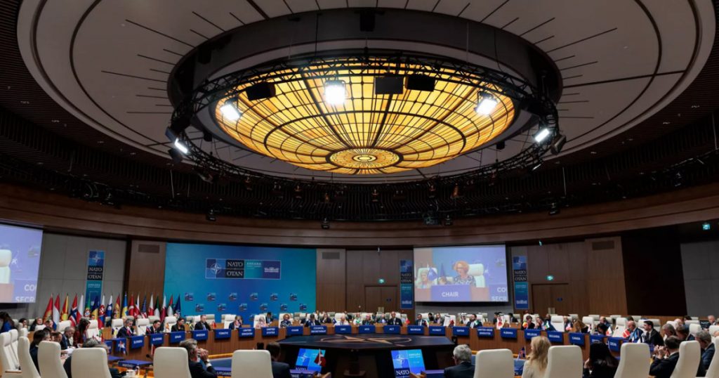 Oana Ţoiu: Dialoguri Cruciale pentru Securitatea Regională la Summit-ul NATO de la Ankara