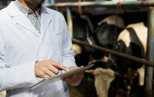 Focare de rabie în Neamț: Provocări și măsuri de prevenire în fața unei amenințări sanitare