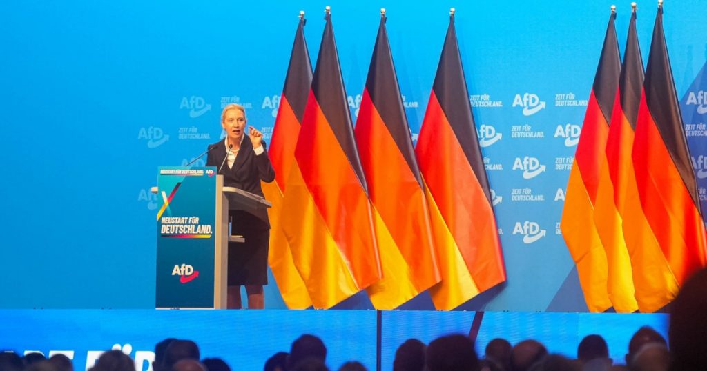 Realegerea liderilor AfD: O analiză a contextului social și politic din Germania