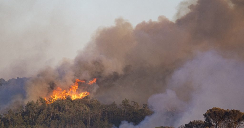 Incendiile de vegetație din Catalonia: O criză ecologică și umană în expansiune