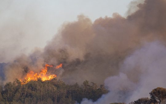 Incendiile de vegetație din Catalonia: O criză ecologică și umană în expansiune