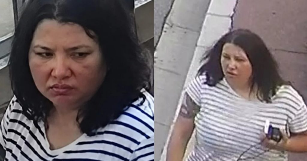 Explozia din Monaco și căutarea Anastasiei Berezovska: O analiză a implicațiilor internaționale și a contextului criminal