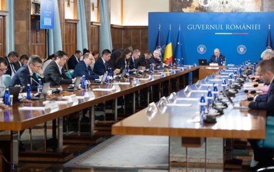 Impactul alocării de 3,15 milioane de lei pentru neutralizarea animalelor moarte în gospodării: Analiză detaliată
