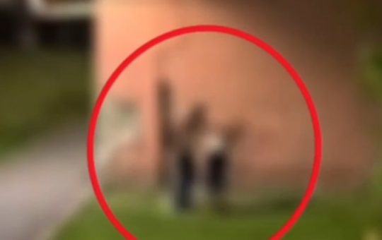 Violența în familie: Un incident șocant la Brașov și implicațiile sale sociale