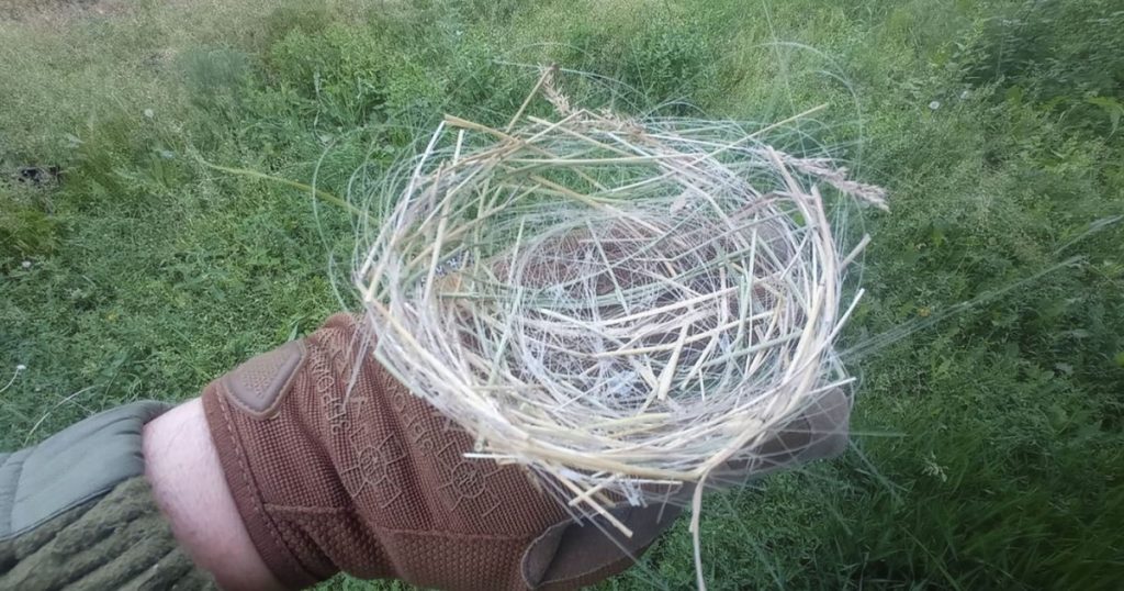 Impactul Războiului din Ucraina asupra Mediului Natural: O Privire Asupra Cuiburilor de Păsări din Cabluri de Fibră Optică