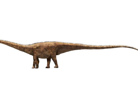 Descoperirea unui nou dinozaur uriaș: Uragasaurus kalasinensis și implicațiile sale în paleontologie