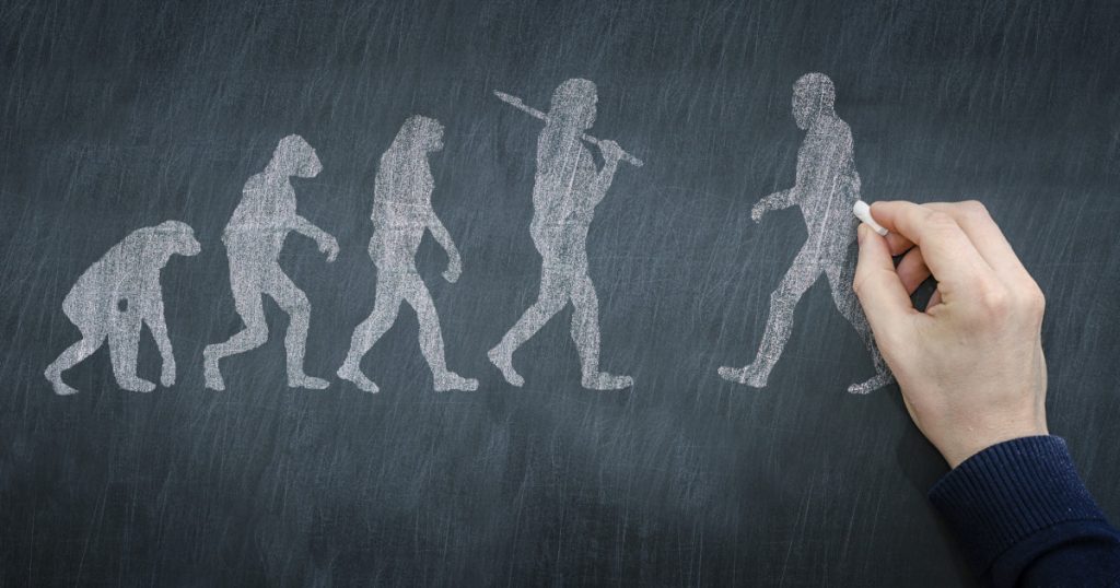 Rescrierea Istoriei: Noi Descoperiri Despre Neandertalieni și Oamenii Moderni în Peștera din Turcia