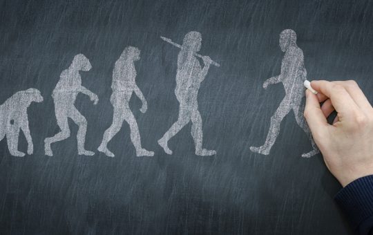 Rescrierea Istoriei: Noi Descoperiri Despre Neandertalieni și Oamenii Moderni în Peștera din Turcia