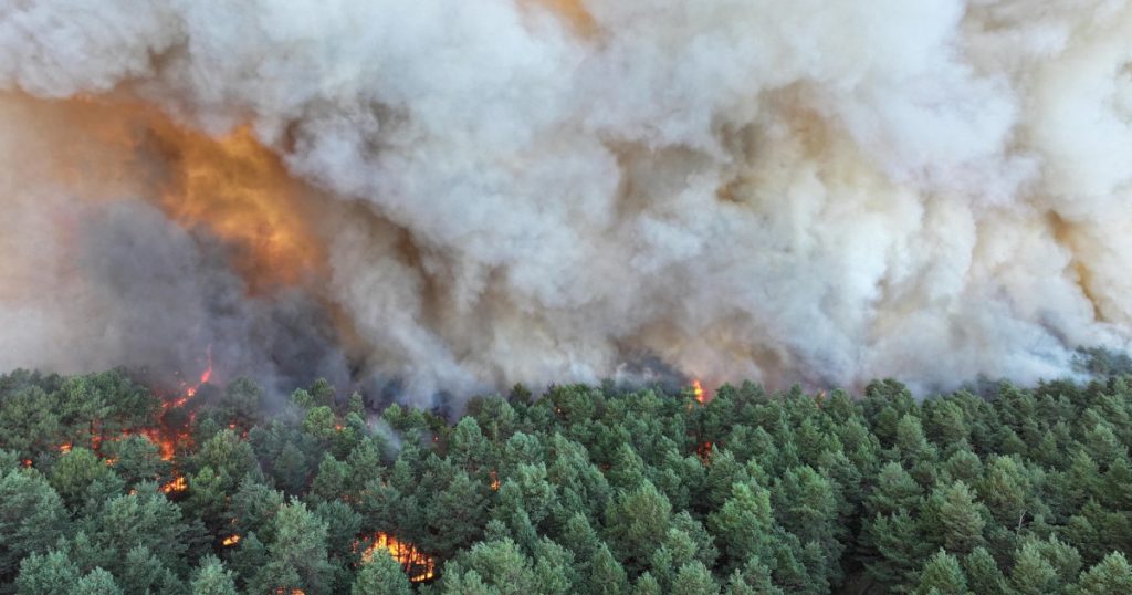 Incendiul de la Fontainebleau: O tragedie ecologică și umană la porțile Parisului