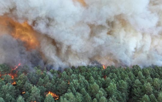 Incendiul de la Fontainebleau: O tragedie ecologică și umană la porțile Parisului