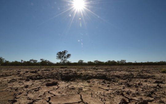 Seceta Severă din Europa: O Provocare Climatică și Agricolă în Expansiune