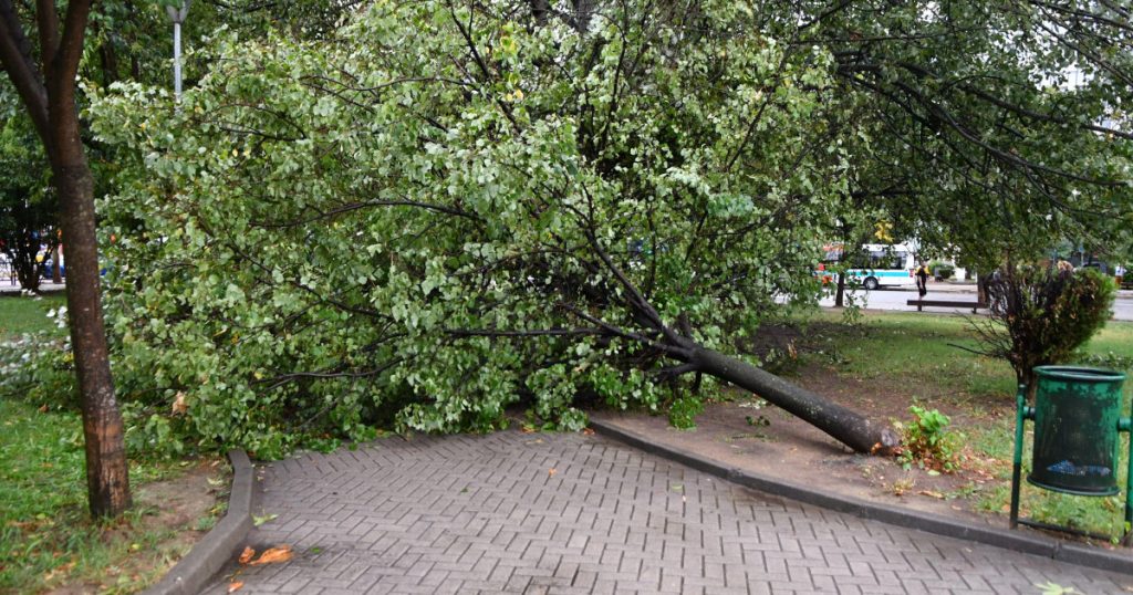 Furtunile devastatoare din Balcani: Impactul climatic și consecințele sociale ale vremii extreme