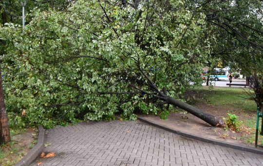 Furtunile devastatoare din Balcani: Impactul climatic și consecințele sociale ale vremii extreme