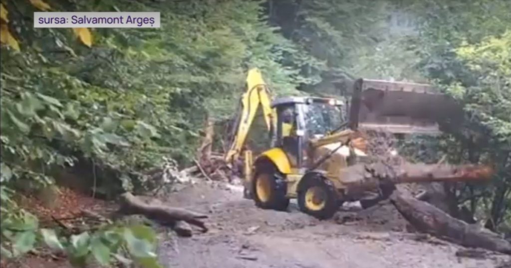Viitură în Valea Rea din Făgăraș: Impactul unei Catastrofe Naturale Asupra Comunității și Mediului